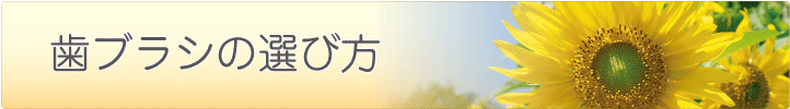 歯ブラシの選び方